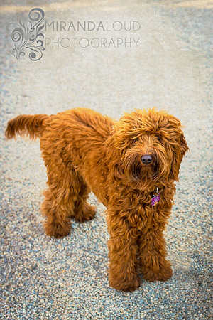 Wally
