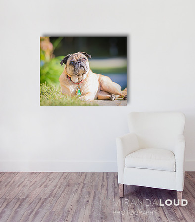 sample framing options for your portraits