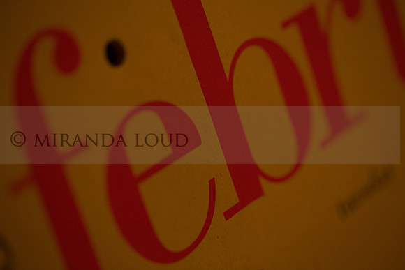 studiomacroshots_(5_of_35)