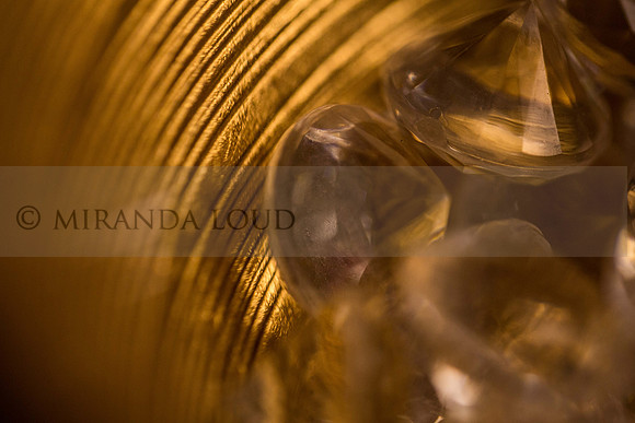 studiomacroshots_(8_of_35)