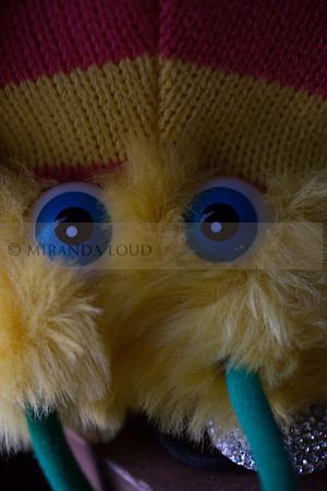 studiomacroshots_(17_of_35)