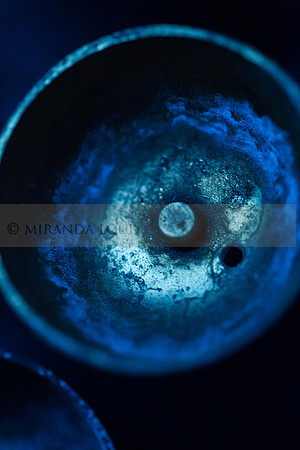 studiomacroshots_(19_of_35)