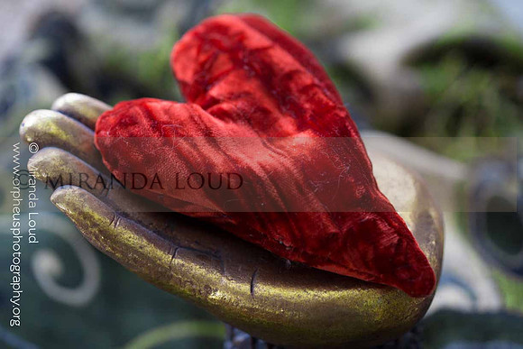 handheart_(1_of_1)