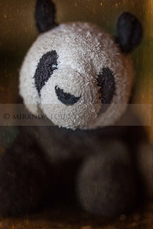 _K1C8660-Edit