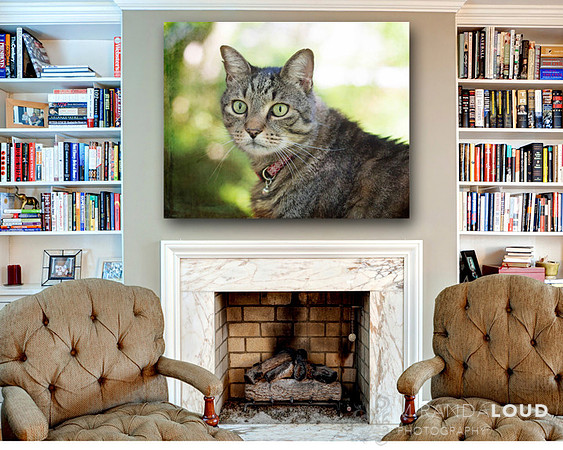 georgefireplace