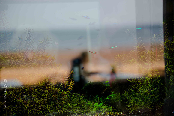 _K1C6419