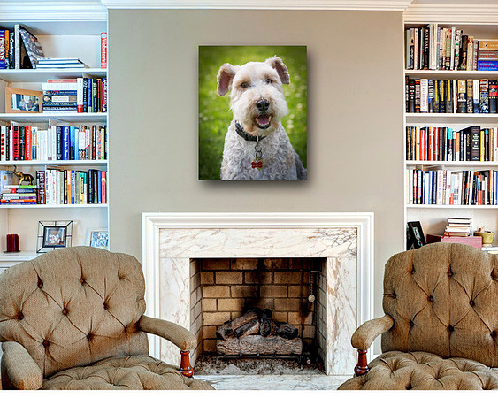 fergusfireplace