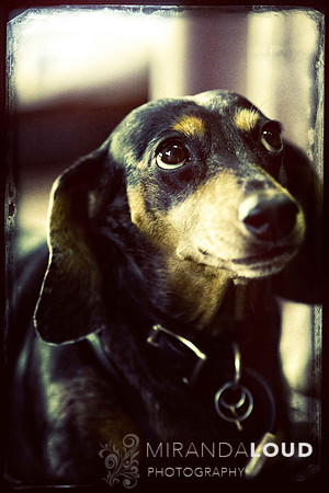 _K1C2834-Edit-Edit-Edit