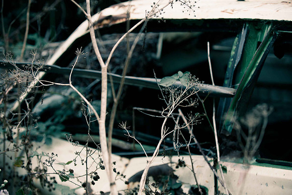 _K1C5459