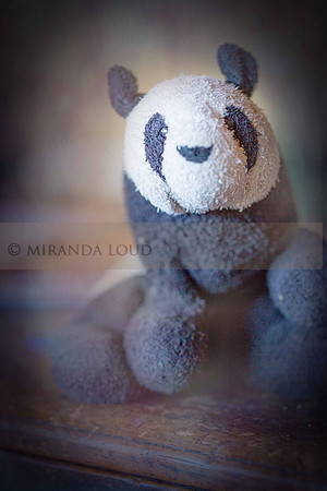 _K1C8658-Edit