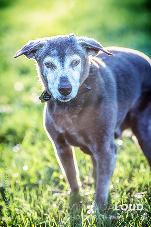 _K1C9375-Edit-Edit
