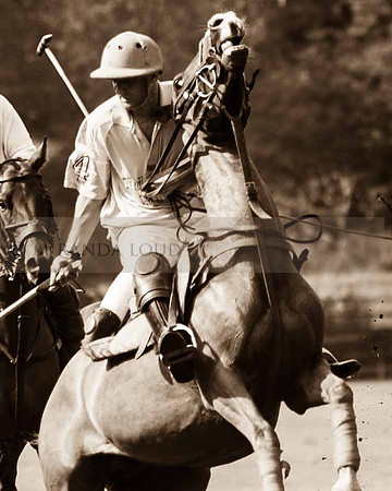polo_(1_of_1)