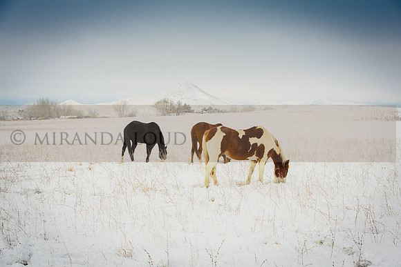 _K1C6882